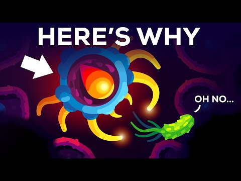 !!The Copy of Copy of 100% real 3D Catzz